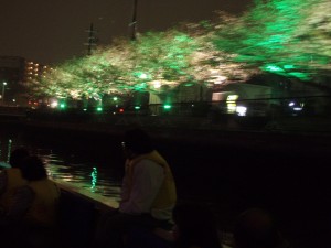 船からの夜桜の眺め